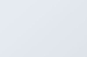 Corporate 9 dummy 1 2